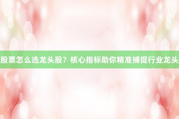股票怎么选龙头股？核心指标助你精准捕捉行业龙头