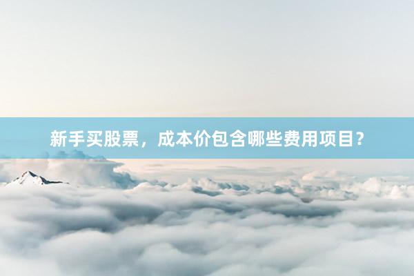 新手买股票，成本价包含哪些费用项目？