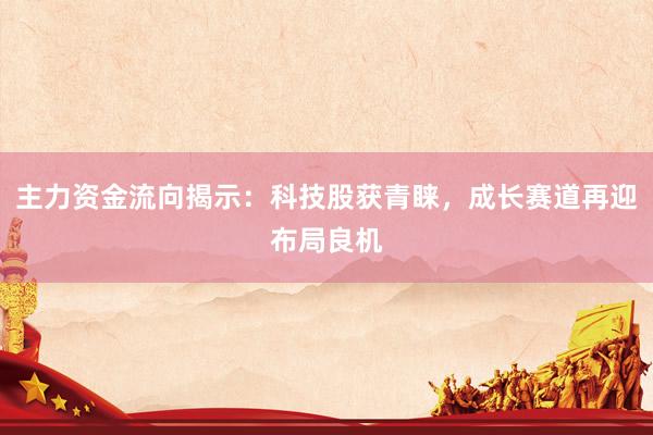 主力资金流向揭示：科技股获青睐，成长赛道再迎布局良机