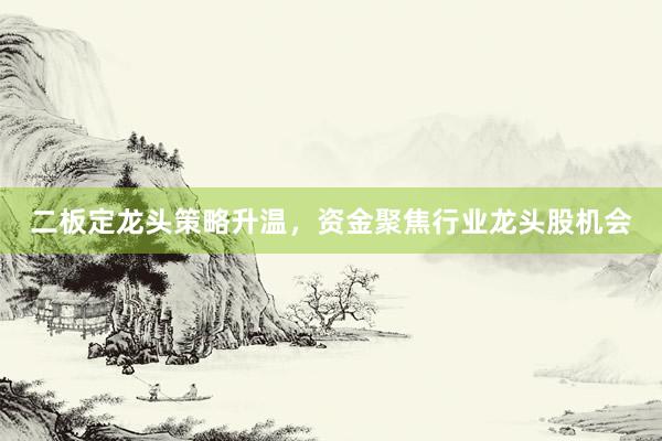 二板定龙头策略升温，资金聚焦行业龙头股机会