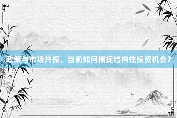 政策与市场共振，当前如何捕捉结构性投资机会？