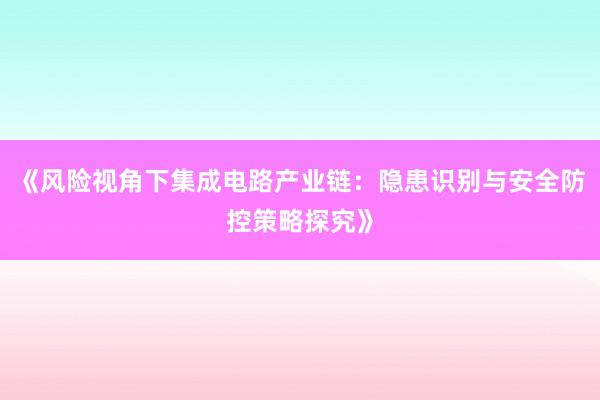 《风险视角下集成电路产业链：隐患识别与安全防控策略探究》