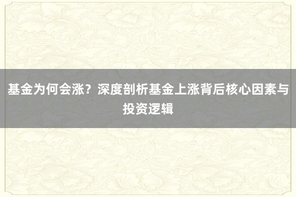 基金为何会涨？深度剖析基金上涨背后核心因素与投资逻辑