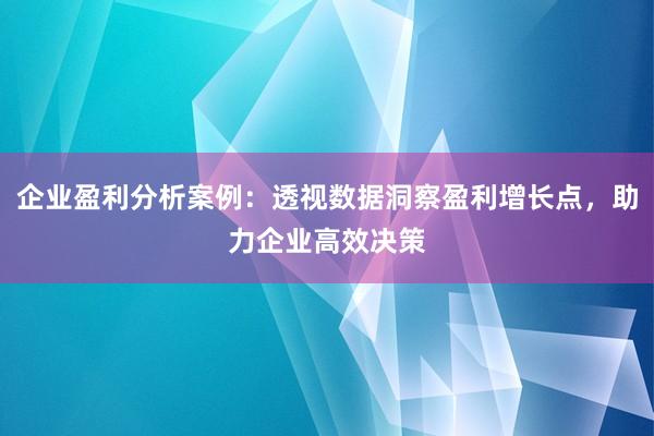 企业盈利分析案例：透视数据洞察盈利增长点，助力企业高效决策