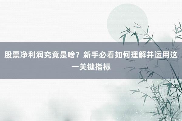 股票净利润究竟是啥？新手必看如何理解并运用这一关键指标