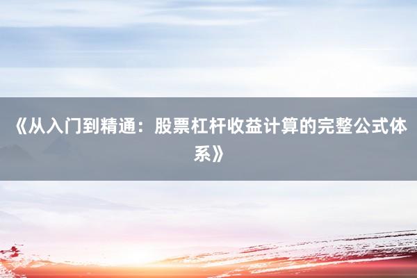《从入门到精通：股票杠杆收益计算的完整公式体系》